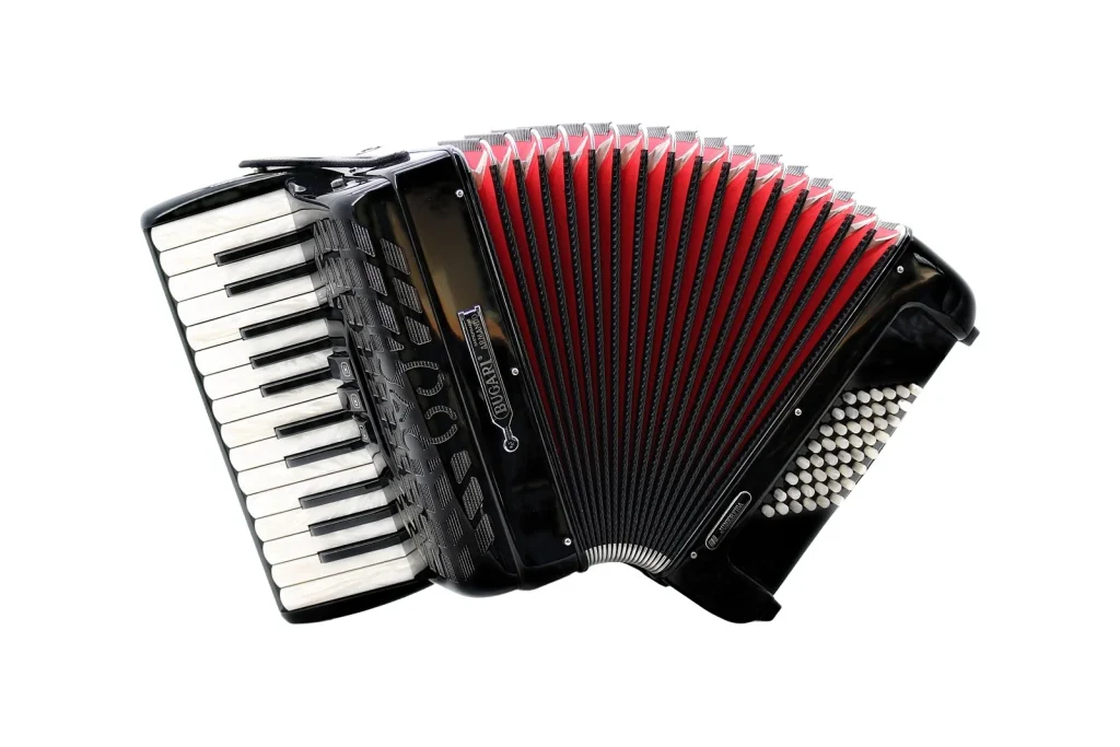 Bugari Piano-Akkordeon Juniorfisa 100J
